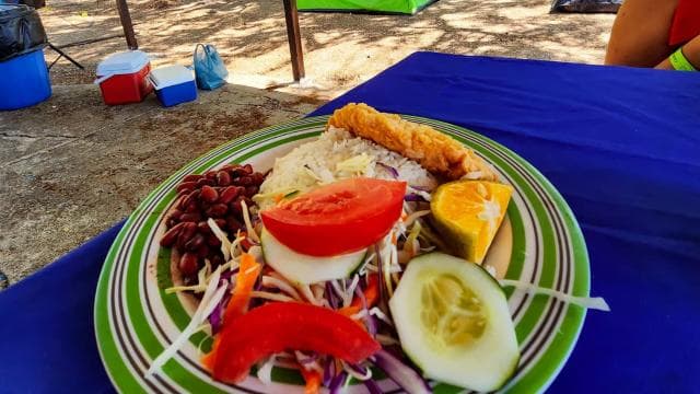 Bioluminescence Tour; Speedboat, Camping (From Puntarenas)