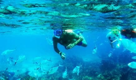 Punta Cana: Catalina Island Snorkeling Trip with Lunch - Photo 3 (Gallery view)