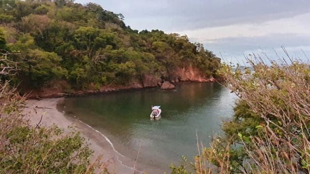 From Puntarenas: Bioluminiscence Boat Tour with BBQ & Drinks