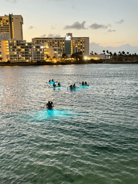 San Juan: Clear Kayak Guided Experience with LED Lights - Photo 5 (Gallery view)