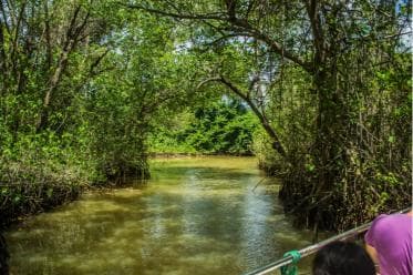 2in1: Los Haitises National Park + Yanigua Waterfall-SPA