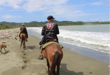 Beach horse back riding with countryside