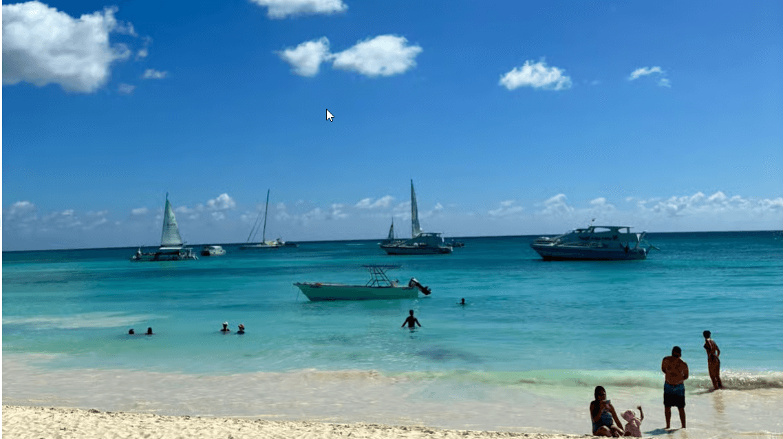 Punta Cana: excursión a la isla Saona en catamarán con almuerzo - Photo 5 (Gallery view)