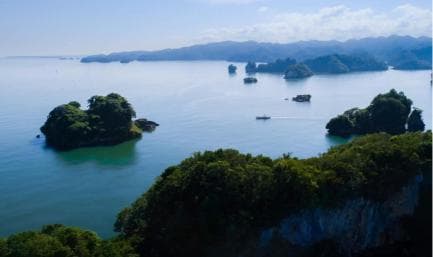 Los Haitises National Park: Boat and Walking Tour with Lunch