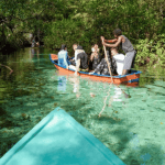 Discovering Samaná: Islands and Waterfalls