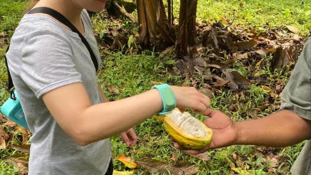 PV & Cahuita: Chocolate Tour Bri Bri Village & Waterfalltour