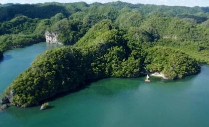 Private 4-Day Tour from Punta Cana/Bayahibe to Los Haitises - Dominican Republic