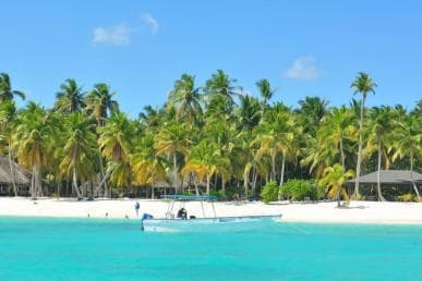 Saona Island Day Trip + Lobsters Included