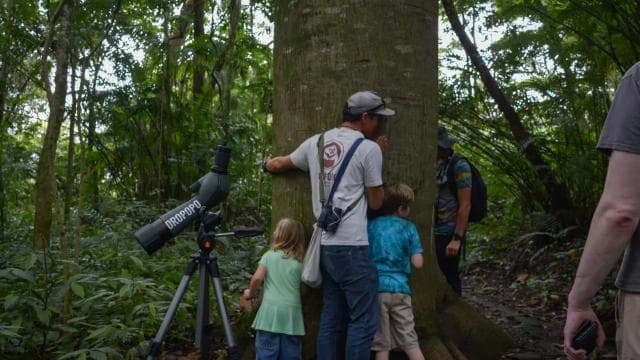 San Jose: Walking Nature Tour with Sloths, Birds, and Trees