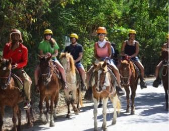 Punta Cana: Guided Horseback Tour of Beaches and Fields