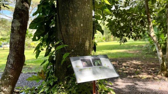 Self Guided Nature Hike with Ocean View Photo spots in Jaco - Dominican Republic
