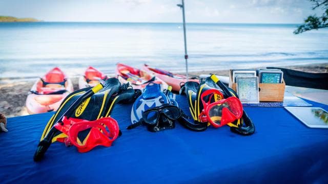 Snorkeling Lessons & Interactive Experience with Snacks - Photo 5 (Gallery view)