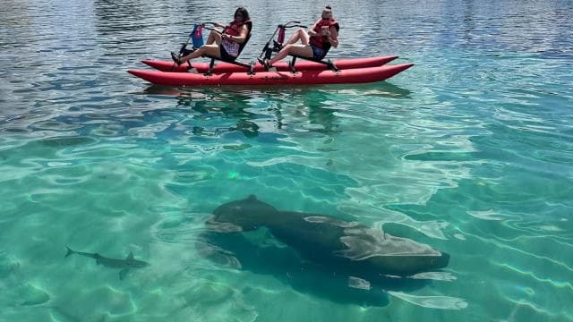 San Juan: Eco-Tour Chiliboats Waterbike, Condado Lagoon