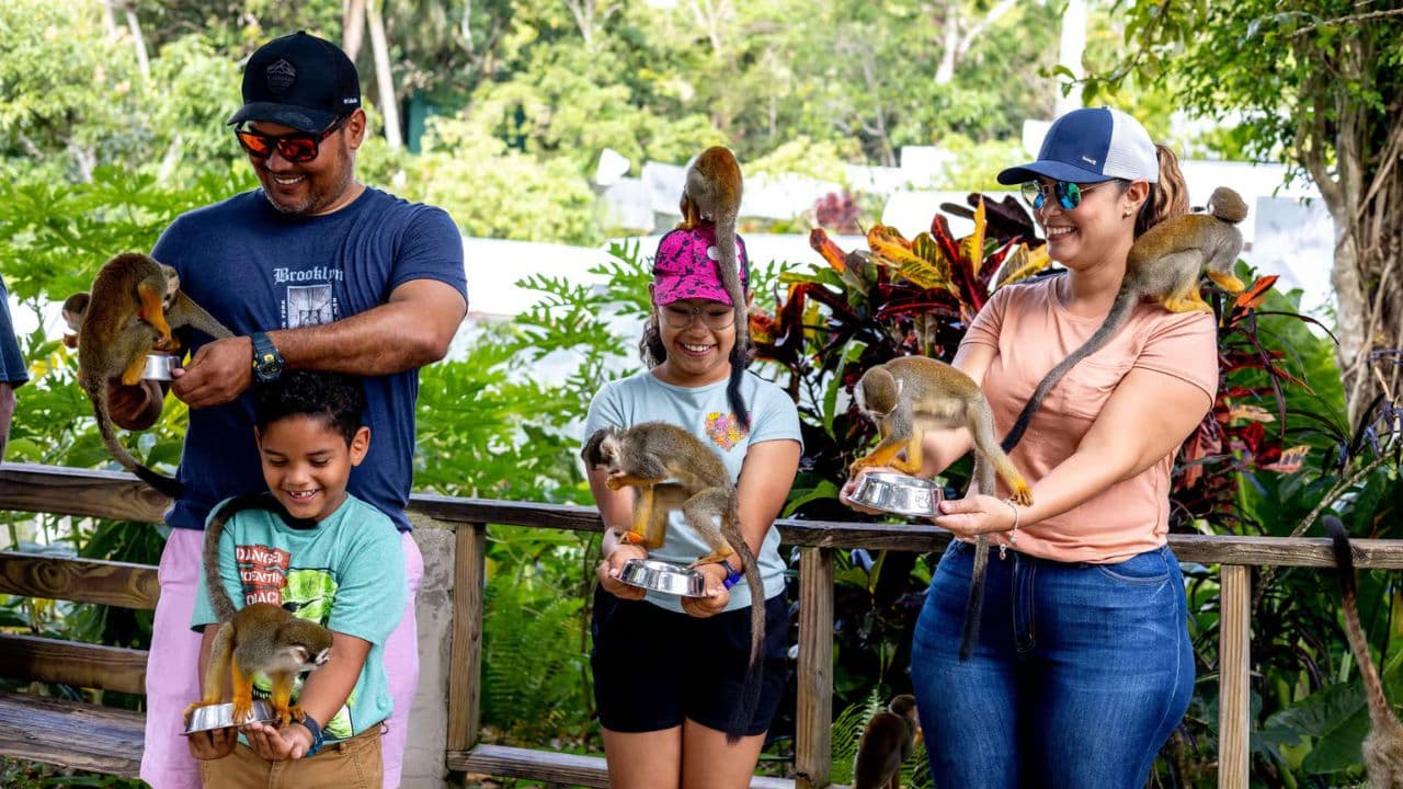 Punta Cana: Monkeyland a prehliadka plantáží - Photo 5 (Gallery view)