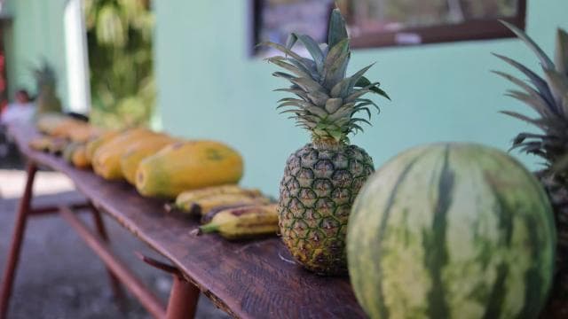 Cahuita national Park+Strand & Maratopia tropical garden