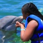 Punta Cana Dolphin Swim Adventure: 40-min Dolphin Experience - Photo 5 (Gallery view)