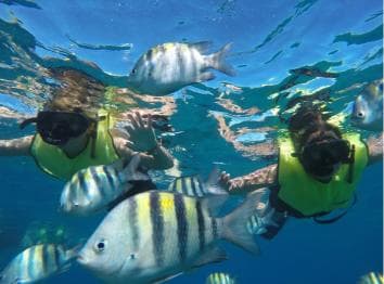 Puerto Plata: Damajagua Waterfalls Tour