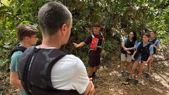 El Yunque Rainforest Tour Hike and Waterslide Adventure