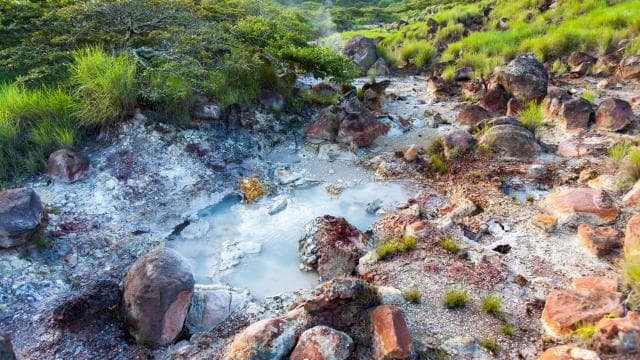 Rincón de la Vieja: One-Day Nature Tour