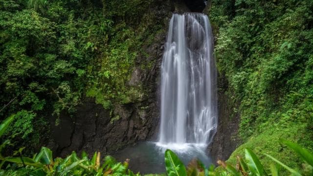 Monteverde: Waterfalls, Wild Trekking and Horseback Riding