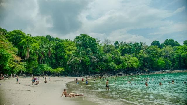 Manuel Antonio Park: Führung mit Ticket - Photo 2 (Gallery view)