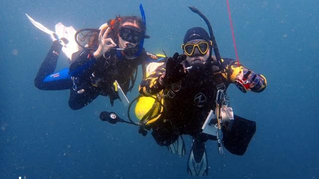 Golfito, Costa Rica: Amazing Day Wreck &/or Reef Dive Trips