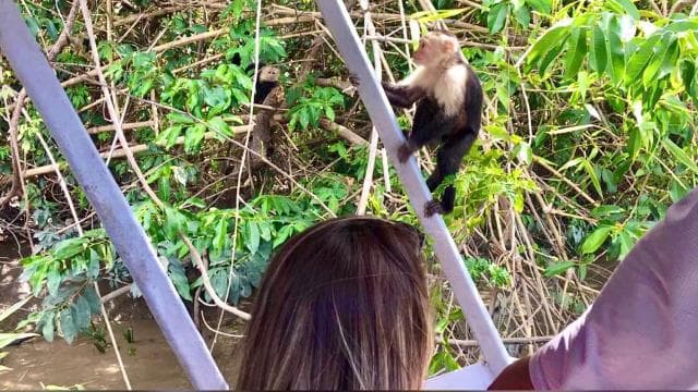 Palo Verde & Guatil: Jungle Boat Tour, Pottery & Lunch