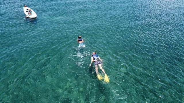 Snorkeling Lessons & Interactive Experience with Snacks