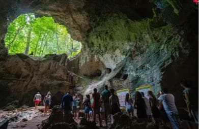 Los Haitises National Park: Boat and Walking Tour with Lunch