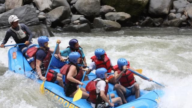 From San José: Pacuare River White Water Rafting Day Trip