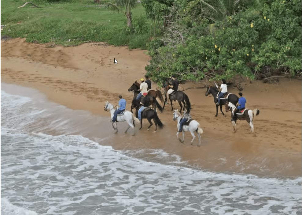 Carabalí Rainforest Park: Beach Horseback Riding - Photo 4 (Gallery view)