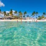 Catalina Island Tour: Boat, Beach Stay, Lunch & Free Drinks