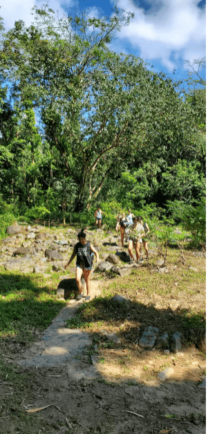 From San Juan: El Yunque Rainforest & Luquillo Beach Tour - Photo 3 (Gallery view)