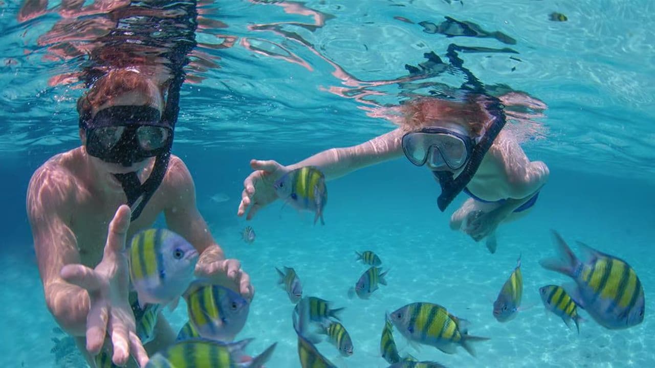 Punta Cana Private Catamaran (Big Group)