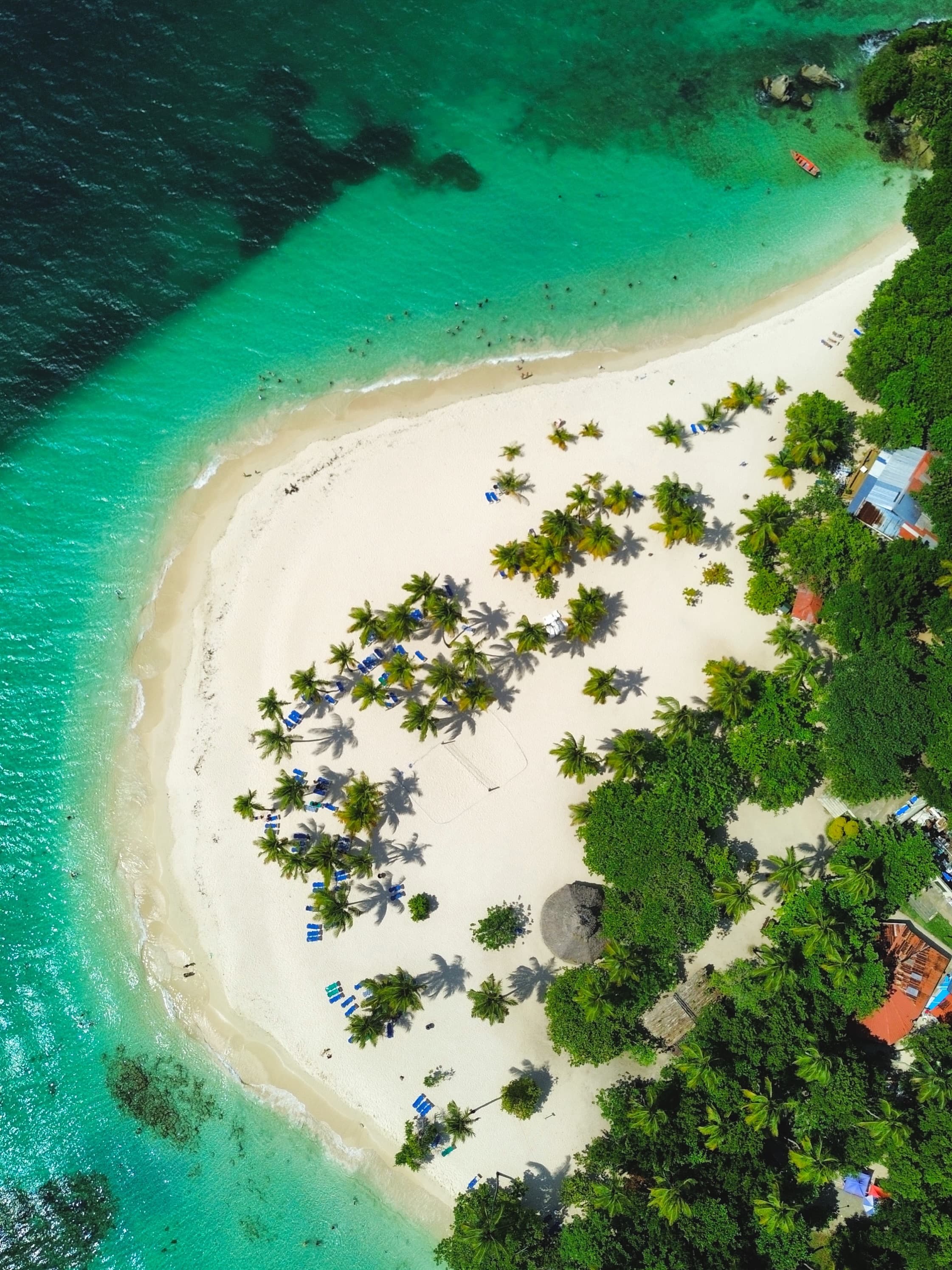 Los Haitises Tour from Las Terrenas & Bacardi Island (Cayo Levantado) - Photo 5 (Gallery view)