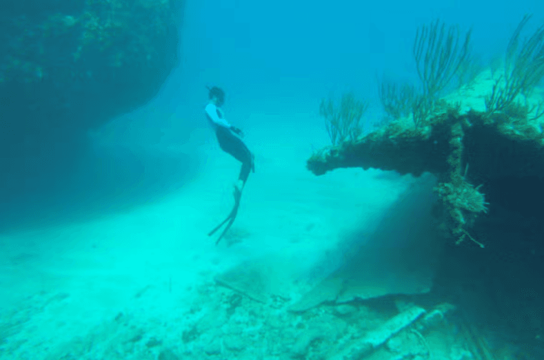 Snorkelling in Havana - Photo 2 (Gallery view)
