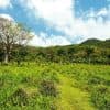 Punta Cana: Anamaya Mountains Walking Tour with Tasting - Photo 1 of 7