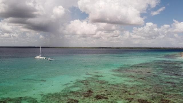 Punta Cana: All Inclusive Saona Island Experience