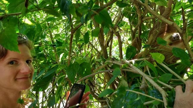Punta Uva: Kayak and Sloth Watching Tour