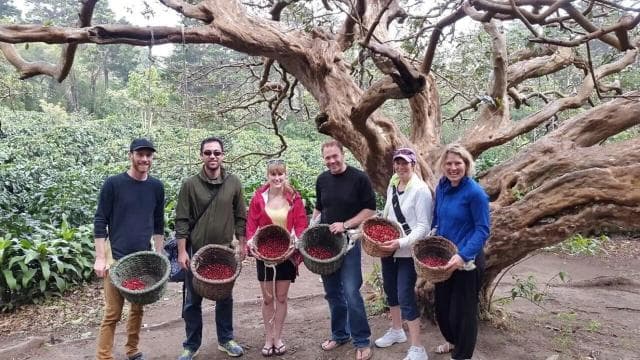 Monteverde: Coffee Farm & Roastery Tour with Tasting - Dominican Republic