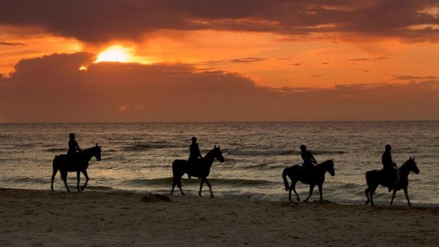 Puerto Rico: Sunset Horseback Rides in Aguadilla Beach