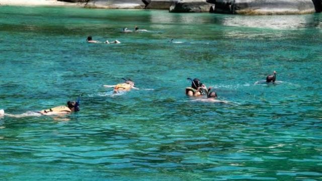 La Romana: Catalina Island Day Trip with Lunch & Drinks