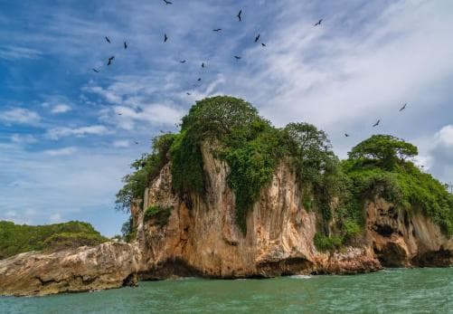 Los Haitises Boat Ride + Caño Hondo Natural Pools - Photo 3 (Gallery view)