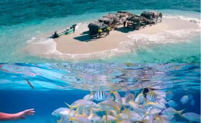 Cayo Arena: Paradise Island and Mangroves Tour