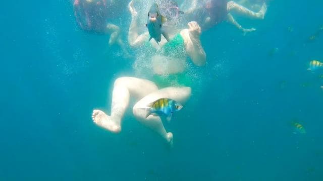 From Puntarenas: Isla Tortuga Full-Day All included tour - Photo 3 (Gallery view)
