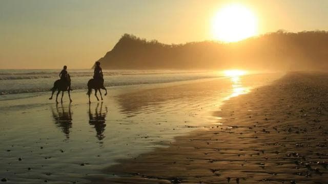 Guanacaste: Safari & Buenavista Beach Horse Riding Tour