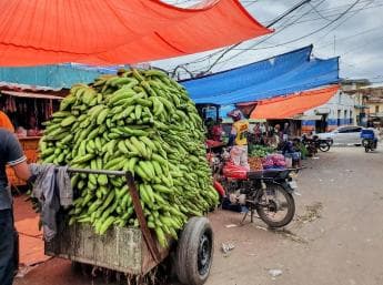 From Puerto Plata Priv: Cocoa, Coffee, Cigars & Local Market