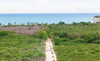 Punta Cana: Eco-Amazing Tour Buggy Extreme With Hotel Pickup - Photo 4 (Gallery view)