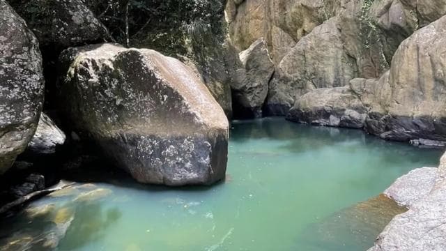 El Yunque & Piñones Tour; Hike, Eat and Chill like a Local