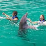 Punta Cana Dolphin Swim Adventure: 40-min Dolphin Experience